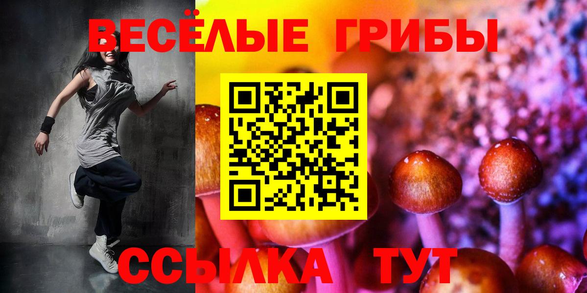 Кимовск  Галлюциногенные грибы MAGIC MUSHROOMS  где продают наркотики  Вход с VPN  Псилоцибиновые грибы MAGIC MUSHROOMS 