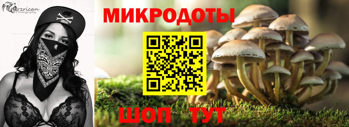 Галлюциногенные грибы прущие грибы Кимовск